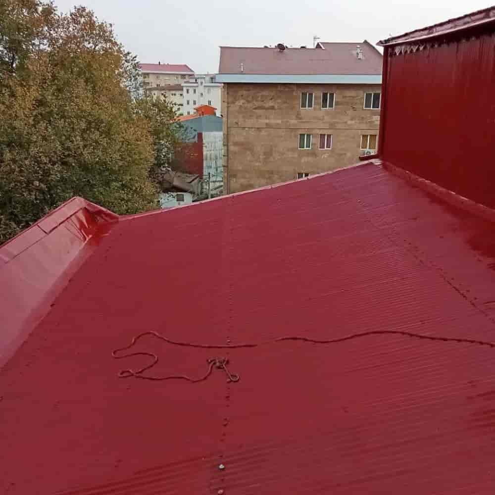 1770723678873.webp