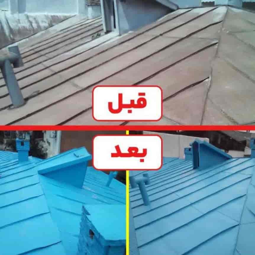 1770723799941.webp
